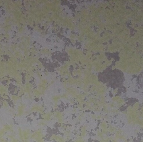 澳马王网站