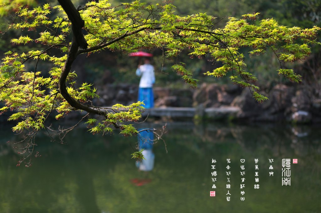 澳马王网站