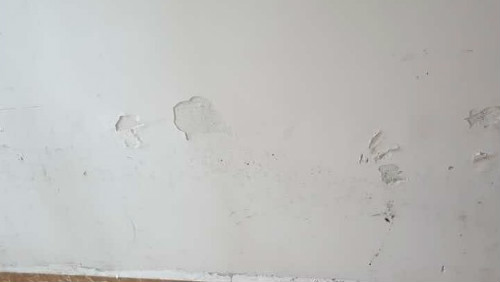 澳马王网站
