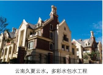 澳马王网站