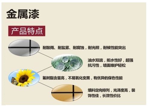 澳马王网站