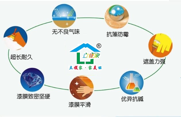 澳马王网站